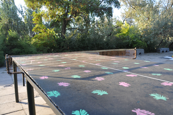 ������� ����� ��������� ������� ��������� ������ �������